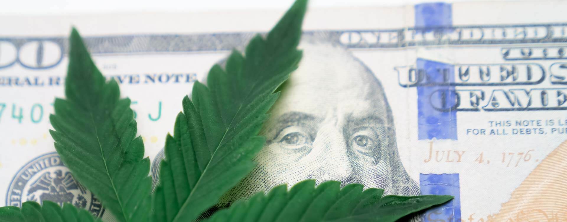 cannabis banking